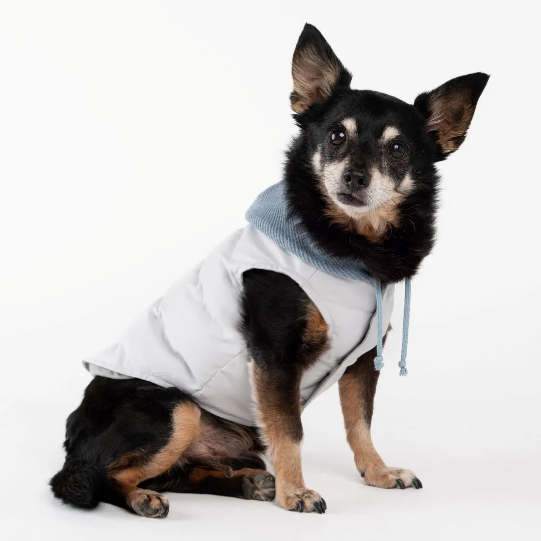 Knit Hooded Down Vest - Blue